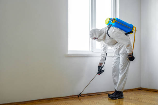 Best Affordable Pest Control Services  in Wright, FL