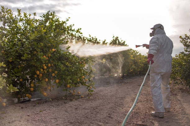 Best Residential Pest Control  in Wright, FL