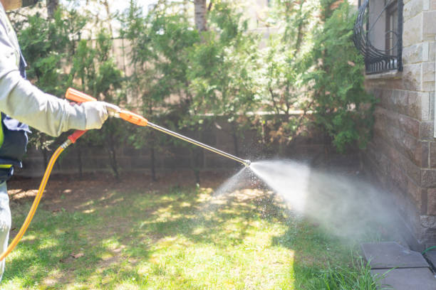 Best Pest Control for Homes  in Wright, FL
